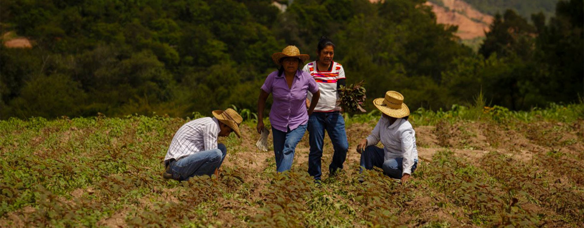 agroeco01